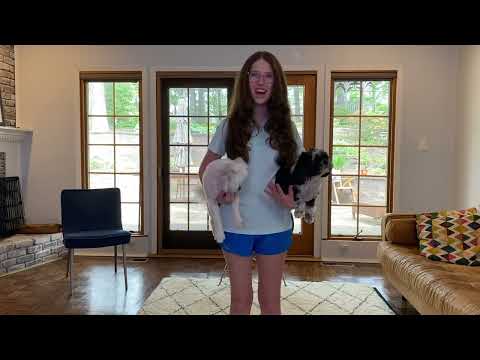 Georgia Be The Voice