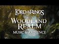 Lord of the Rings | The Woodland Realm of Mirkwood Music & Ambience, with @ASMRWeekly