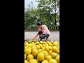 Save A Lot Of Money By This Lemon Hack नीम्बू स्टोर करने की ट्
