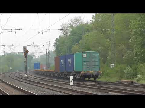 Sichtungen am 01.05.2019