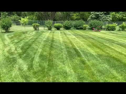 Evo Lawn and Landscape residential lawn care and property maintenance video