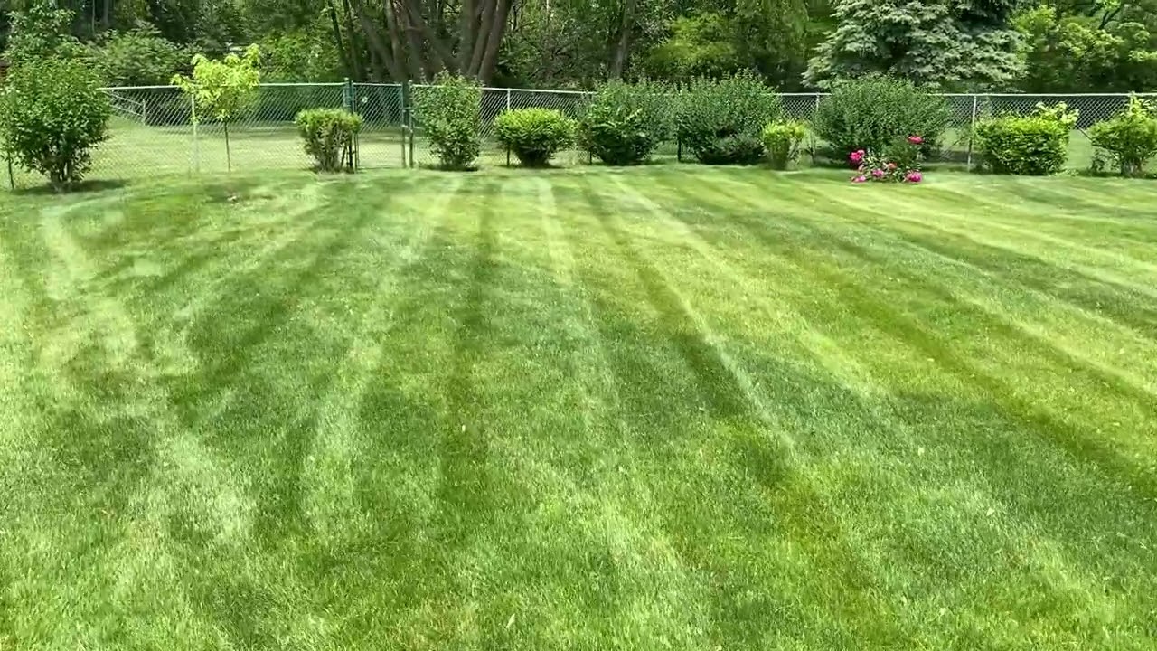 Evo Lawn and Landscape residential lawn care work in Lake County Illinois