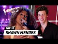 Phenomenal SHAWN MENDES covers on The Voice