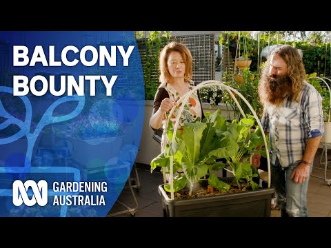 Balcony Bounty | Indoor Plants And Balcony Gardens | Gardening Australia