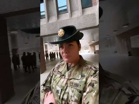 Which Drill Sergeant is louder? 🗣️