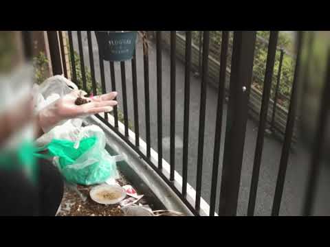 Tulip makes him happy 🙂