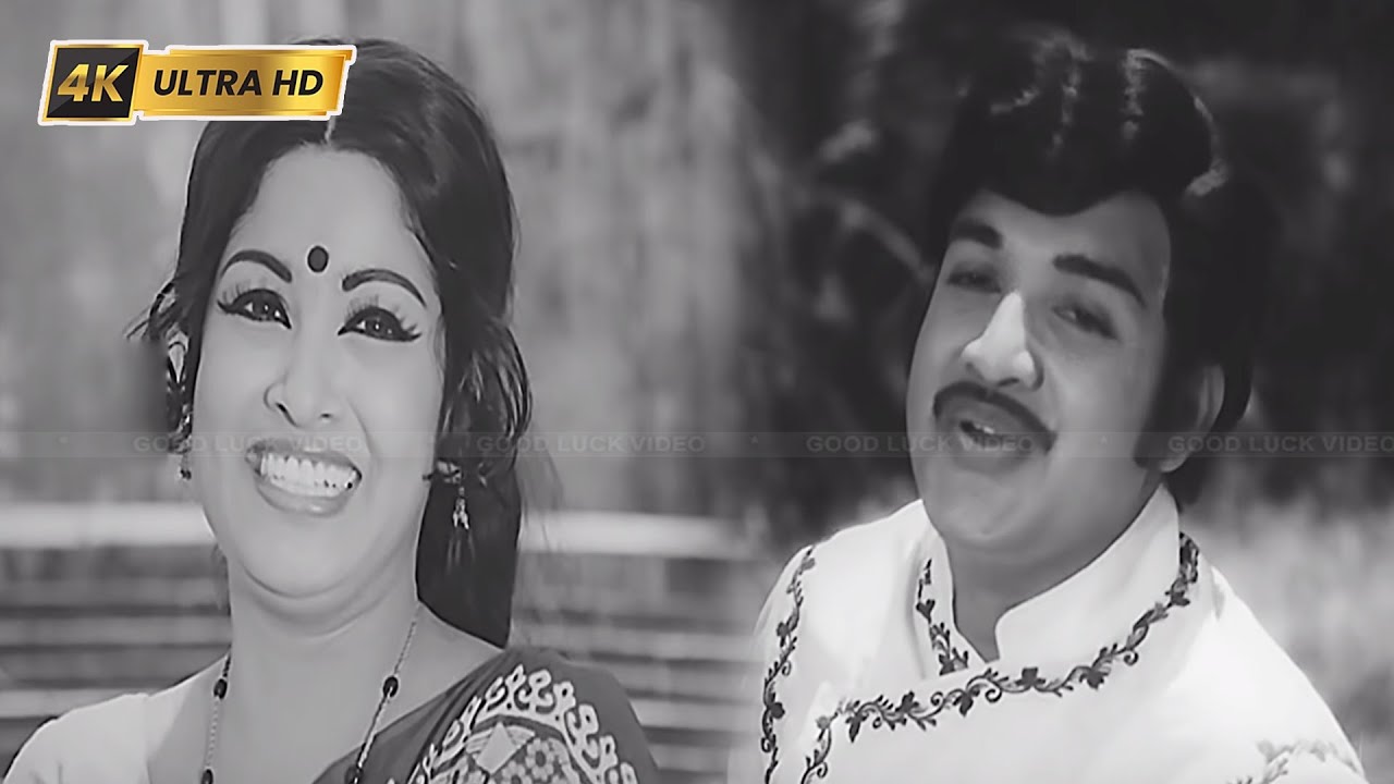 Puthu Manjal Maeni Song Lyrics | Rudra Thaandavam | S. P. Balasubrahmanyam, Vani Jairam