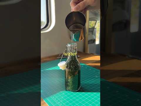 Using Pine Needles to make natural Sprite?? 🥤 #soda #natural #lifehack #coolitems #staycurious