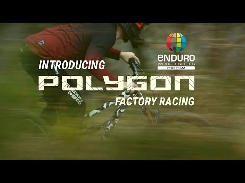 Polygon Enduro Team
