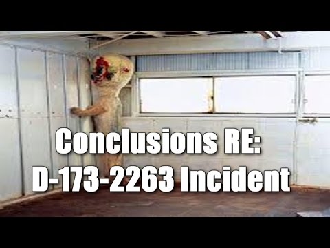 Conclusions RE: D-173-2263 Incident