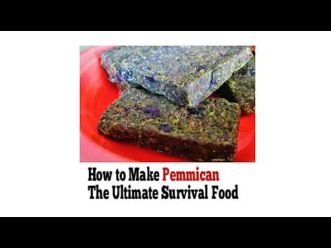 How to Make Pemmican The Ultimate Survival Food | The Lost Ways Review