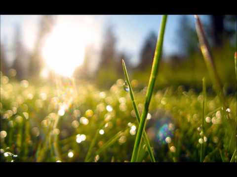 JacM & Zoë Phillips - Rainy Thoughts