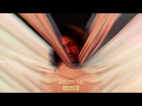 Sarkastik Ambassador - Release Me (Official Audio)
