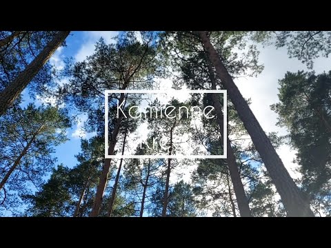 Kamienne kręgi w Odrach