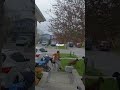Doberman Saves A Baby Dexterthedobie3
