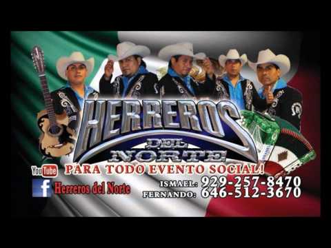 Promotional video thumbnail 1 for Herreros Del Norte NYC