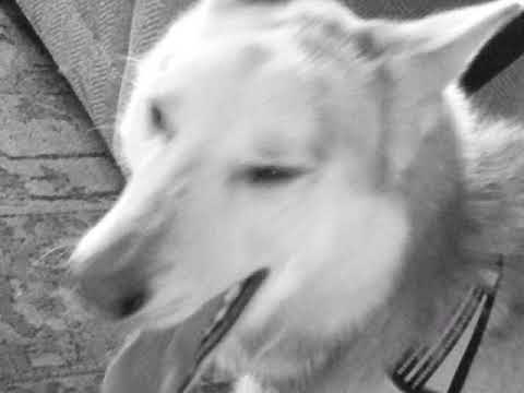 Laxatives - Sancho Domalo