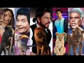 The Lion King Movie Ki Live Hindi Dubbing With Sharukh Khan Omg