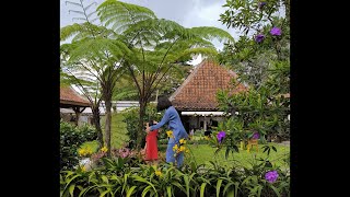 Download lagu LIVE BALE JONGGOL & PERFUME ✨ mp3 Download lagu LIVE BALE JONGGOL & PERFUME ✨ mp3