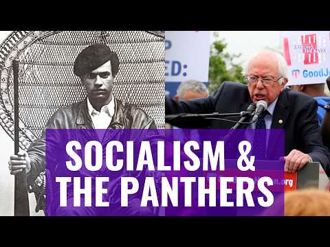 What Would The Black Panthers Say About Dsa