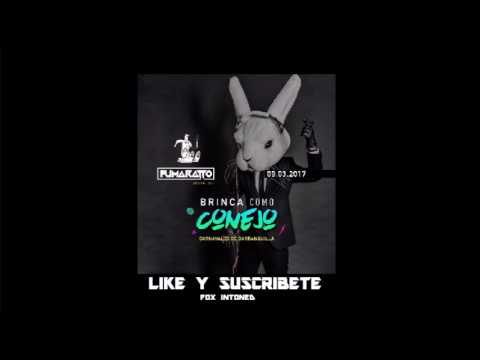 Brinca Como Conejo - Carnavales de Barranquilla - Fumaratto Ferroso 09 Marzo 2017