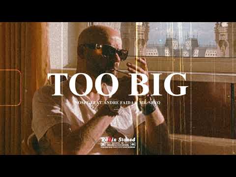 NOSFE - TOO BIG feat. @ANDREFAIDA & @MrSeyoakaOni  (Visualizer)