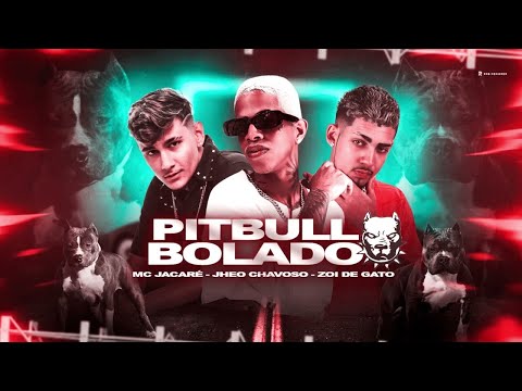 JHEO CHAVOSO & ZOI DE GATO E MC JACARÉ - PITBULL BOLADO #bregãfunk2022 #funk #bregãfunk #hit