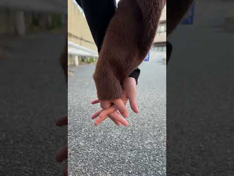 韓国人夫と久々に手を繋いでみた #shorts