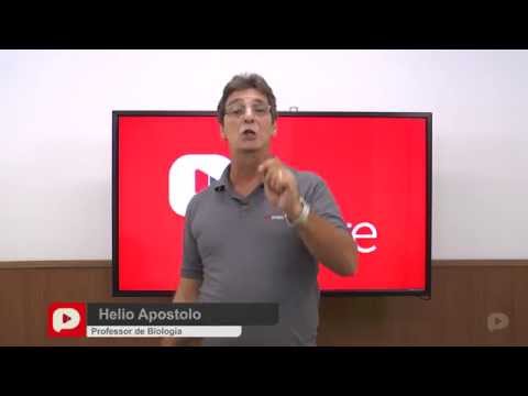 Q.56-ENEM 2013-Ciências da Natureza e suas tecnologias (Amarela)