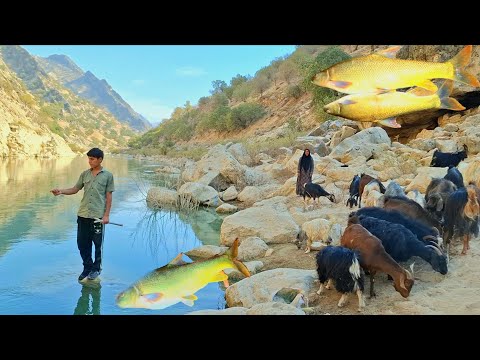 🏕Nomadic life in Zagros | Traditional livestock farming🐑 and fishing along the roaring rivers!🎣🌊