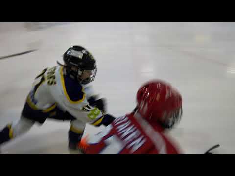 EVU - BJR09 Yellow 10.12.2017