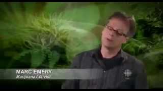 Legal Cannabis 2014 New Documentary