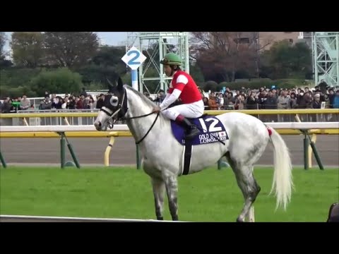 [Over 1 million views‼️] Gold Ship's fan service at the 35th Japan Cup (Group 1)!