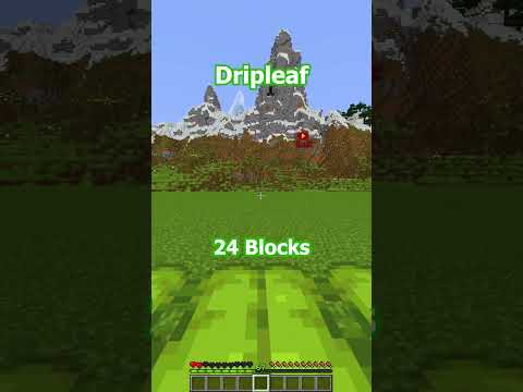 Minecraft How High Can You Fall🤯 (World's Smallest Violin)