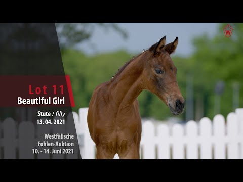 Westfälische Fohlen-Auktion Lot 11 Beautiful Girl Stute v. Benicio - Rock Forever I