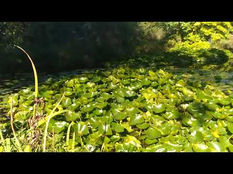 Tu-Mi.com - Cuggiono 1