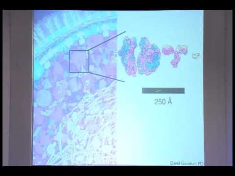 L17: Reconstruction principles and applications of Cryo Tomography ...