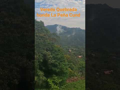 Vereda Quebrada honda La Peña Cundinamarca.
