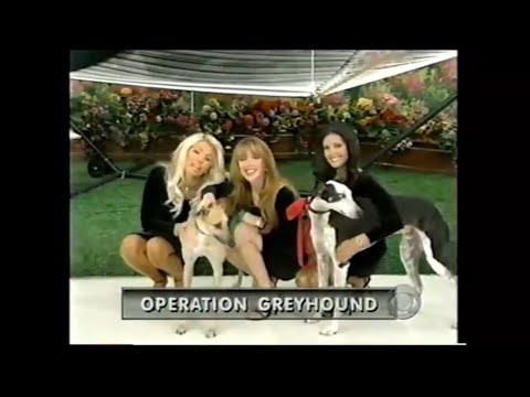 The Price is Right (#2994K):  October 7, 2004 (w/tryout model, Sonia Aparicio!)