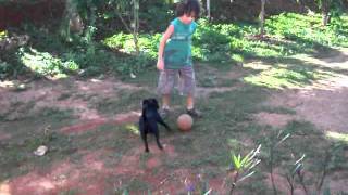 matheus,lyka e kaká futebol