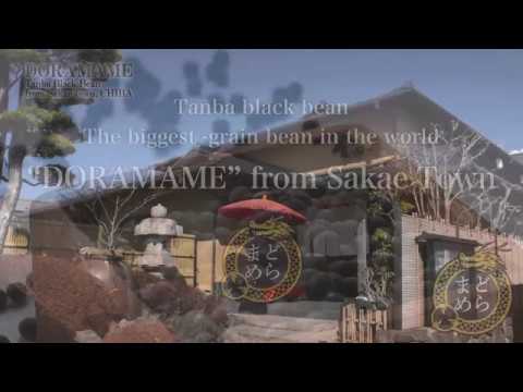 “DORAMAME”from Sakae Town