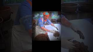 Blippi before YouTube channel💀💀 #shortsfeed #shorts