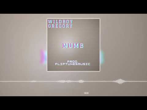 WildBoy Gregory - Numb (prod. FlipTunesMusic) (Official Audio Visualizer)