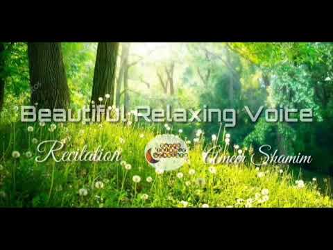 1 HOUR Beautiful Relaxing Voice By Ameer Shamim