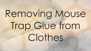 Removing Mouse Trap Glue from Clothes