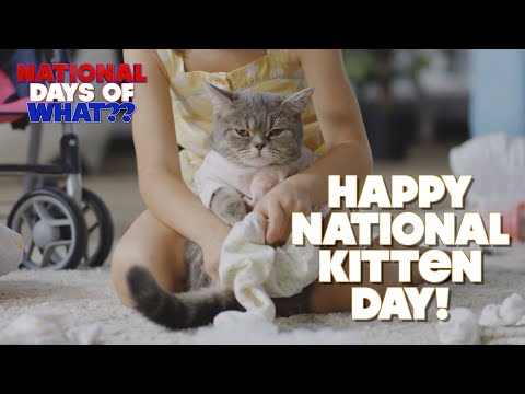 Happy National Kitten Day | July 10 | Fun Kitty History and More