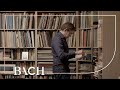 Brachetta on Prelude and fugue no. 5 in D major BWV 850 | Netherlands Bach Society