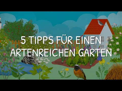 gARTENreich | 5 Tipps für einen artenreichen Garten