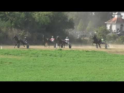 Trka "Papić Todor-pokrovitelj građani Đurđeva” 20.09.2020 Picolo Party - Vladimir Pribić