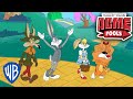 ACME Fools Looney Tunes The Wizard Of Oz Mash Up Wbkids